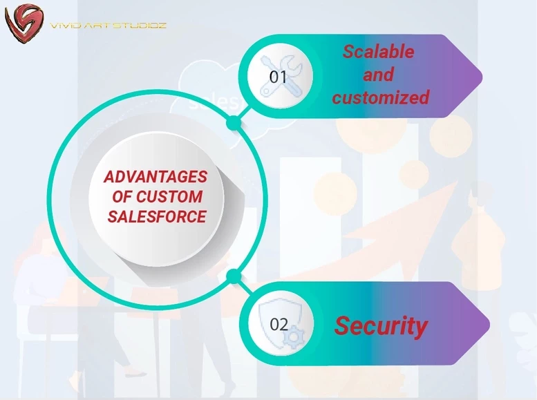 advantages of custom salesforce